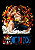 One Piece: Commander of the Second Division