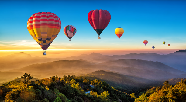 The Morning Learns to Fly