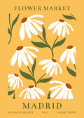 Madrid Flower Market: Golden Hour Botanical
