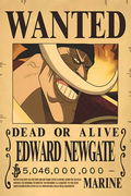 Edward Newgate: The Legend of Whitebeard