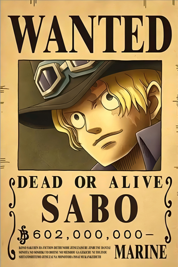 Sabo: The Flame Emperor’s Decree