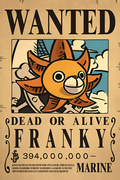 Franky: Shipwright of the Thousand Sunny