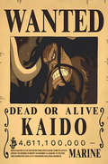 Kaido: King of the Beasts