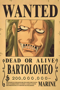 Bartolomeo: The Loyal Barrier-User