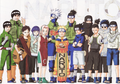 Generations of the Leaf: The Shinobi Way