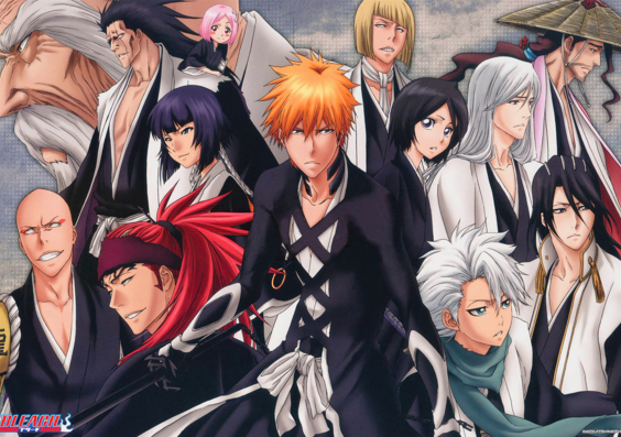 Guardians of the Seireitei