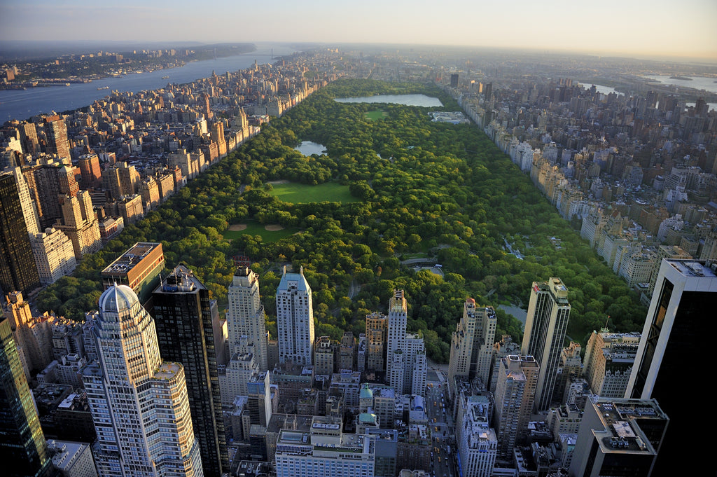 Sunrise Over Central Park