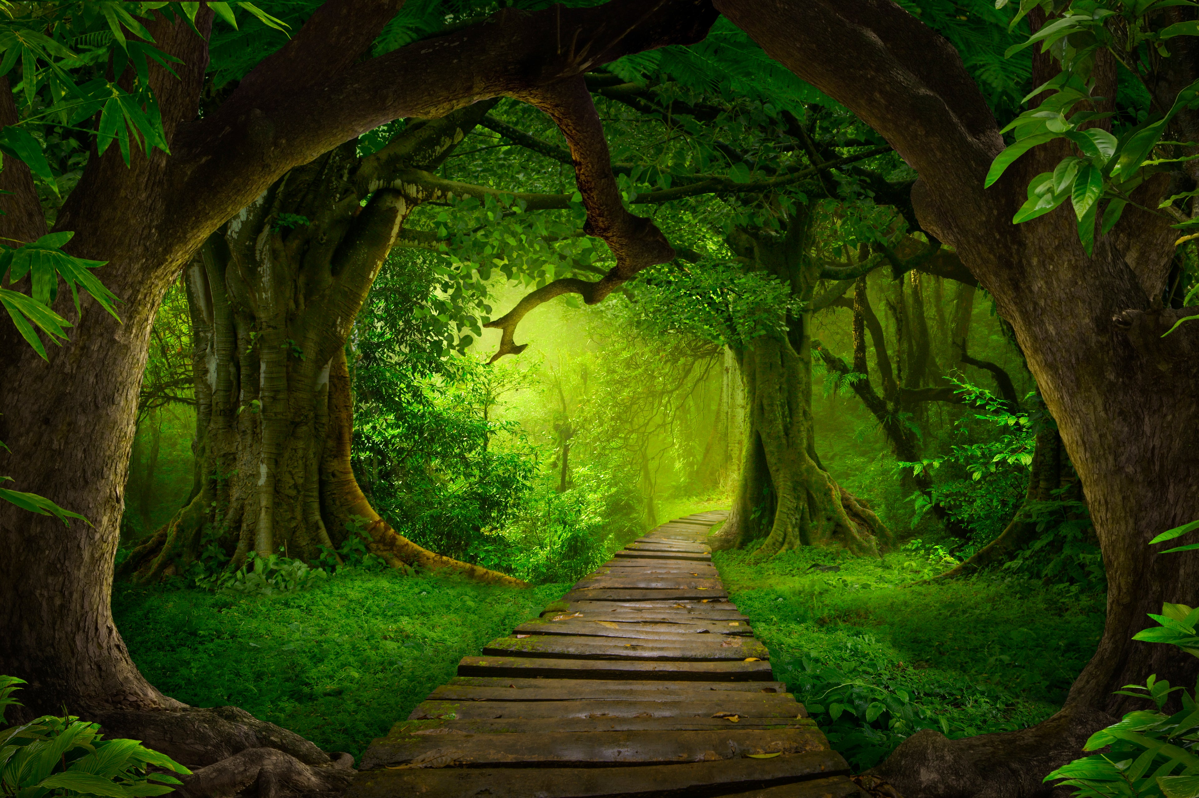 Pathway to the Green Light