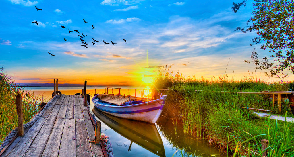 Lakeside Serenity